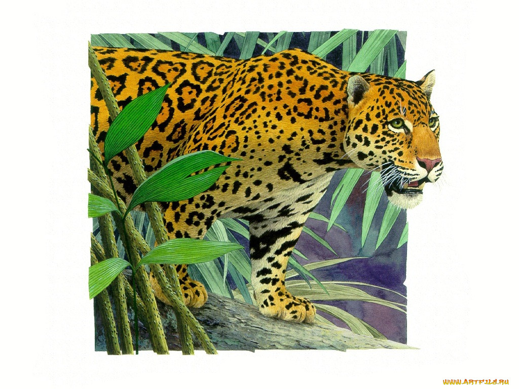 , , , 